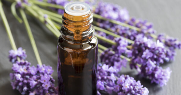Lavender Oil 5kg