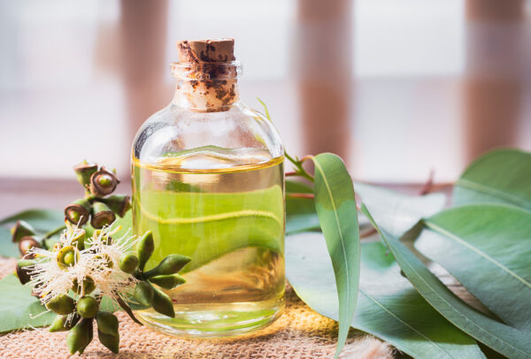 Eucalyptus Oil 2kg